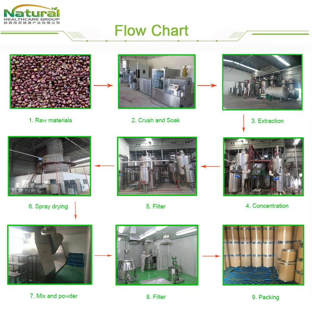 flow chart-1