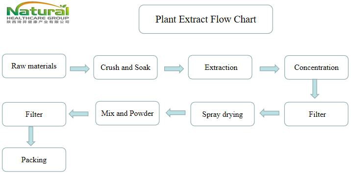 flow chart