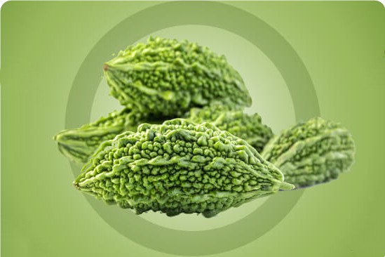 Bitter Melon Benefits