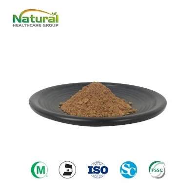 Poudre d'extrait de champignon Cordyceps