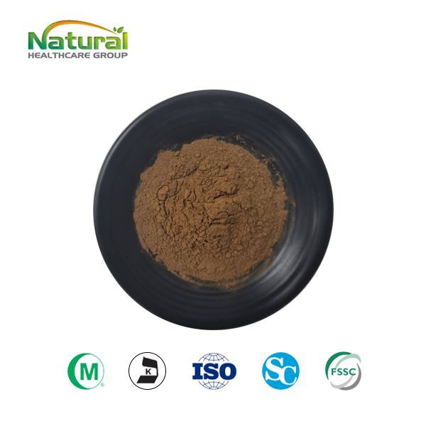Poudre d'extrait de thé vert -55 % d'EGCG