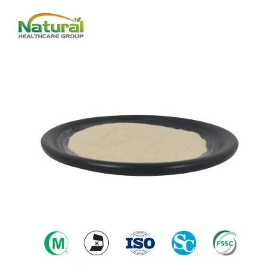 Poudre d'extrait de ginseng Panax