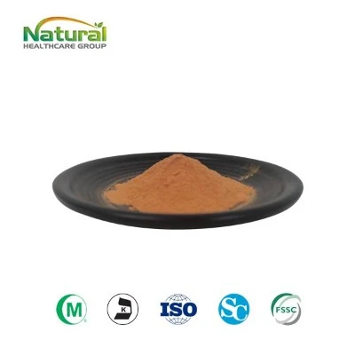 Poudre d'extrait de goji