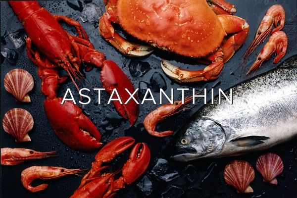 Que fait Haematococcus Pluvialis dans les aliments aquatiques ?