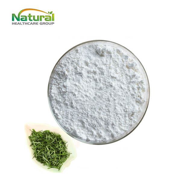 Poudre d'extrait d'EGCG