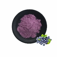 Poudre de myrtille pure