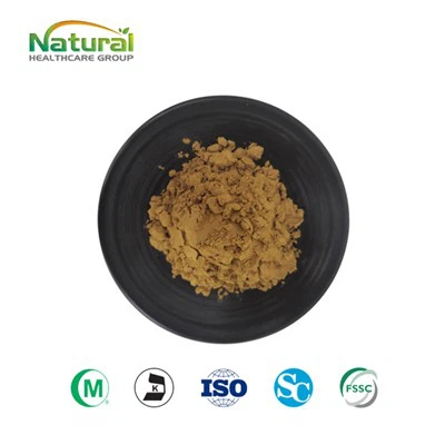 Poudre de spermidine